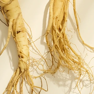 Korean Red Ginseng